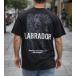 Oversized t-shirt -LABRADOR- TR2292MF: img 1